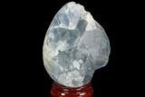 Crystal Filled Celestine (Celestite) Egg Geode - Madagascar #100045-2